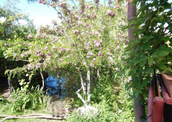 Z vlastného pozemku sa môžete vydať člnom na prieskum okolitej vodnej ríše-Martovce