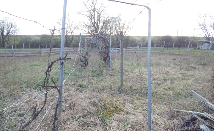 Na predaj dlhý 2 izbový vidiecky dom v Kolte, 20 km od Nových Zámkov. - fotografia 11