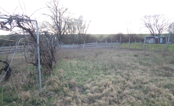 Na predaj dlhý 2 izbový vidiecky dom v Kolte, 20 km od Nových Zámkov. - fotografia 12