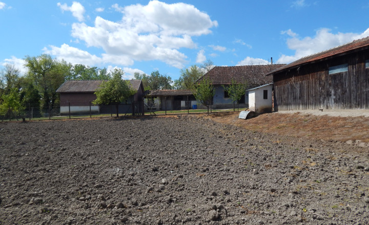 Na predaj vidiecka usadlosť so starším domom, hospodárskymi budovami a pozemkom 2104 m2  v obci  Martovce. - fotografia 16