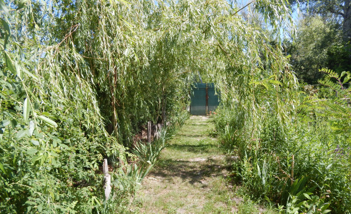 Z vlastného pozemku sa môžete vydať člnom na prieskum okolitej vodnej ríše-Martovce - fotografia 13