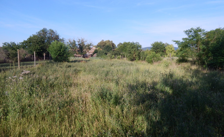 Pozemok s výmerou 928 m² v obci Malé Kosihy (okres Nové Zámky)