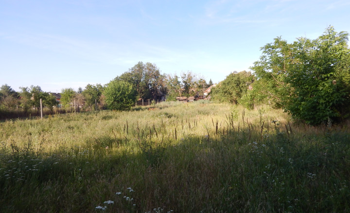Pozemok s výmerou 928 m² v obci Malé Kosihy (okres Nové Zámky) - fotografia 1