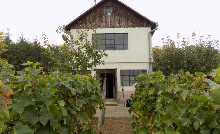 Na predaj viničný domček s vinicou pri Štúrove