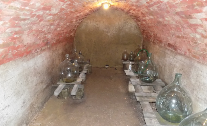 Na predaj viničný domček s vinicou pri Štúrove - fotografia 9