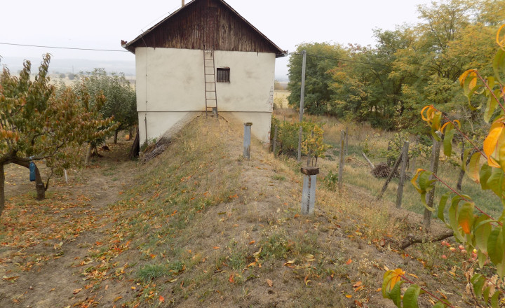 Na predaj viničný domček s vinicou pri Štúrove - fotografia 13