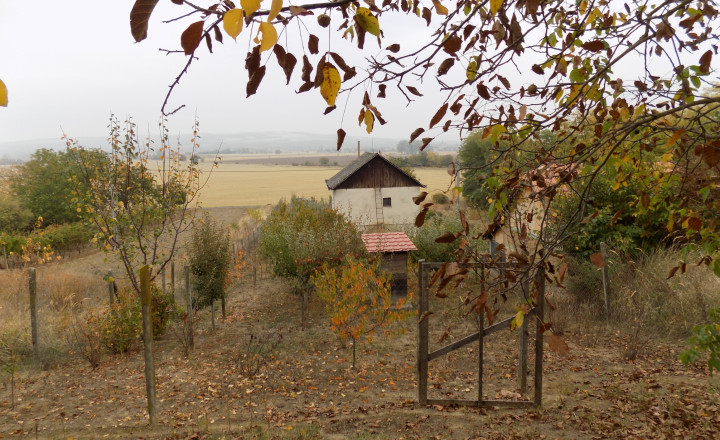 Na predaj viničný domček s vinicou pri Štúrove - fotografia 17