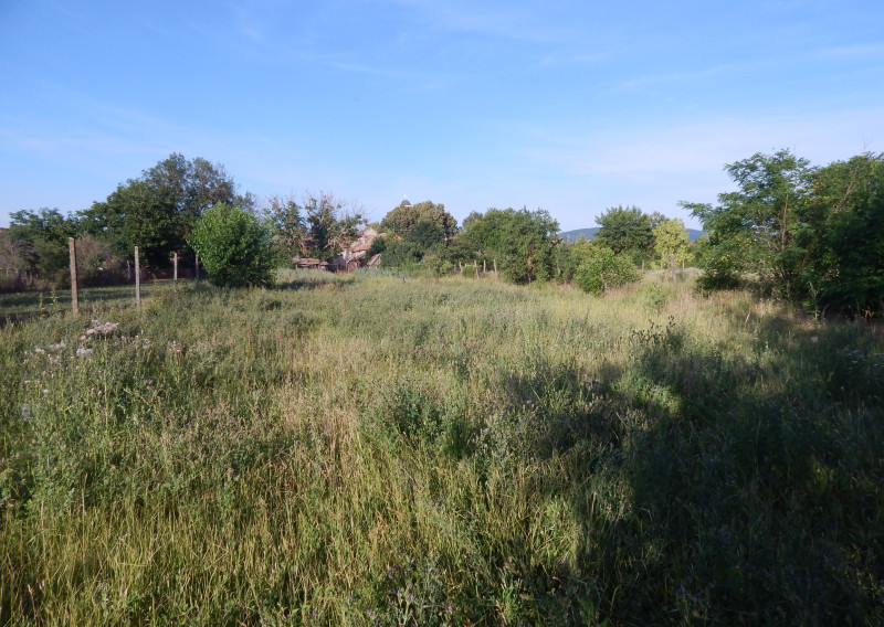 Pozemok s výmerou 928 m² v obci Malé Kosihy (okres Nové Zámky)